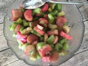 Rhabarber geschnitten