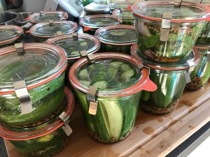 Essiggurken-Gewürzgurken-Einlegen