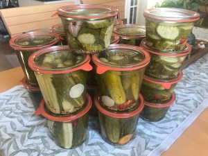 Essiggurken-Gewürzgurken-Einlegen