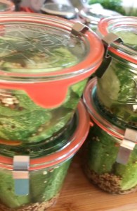 Essiggurken-Gewürzgurken-Einlegen
