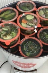 Essiggurken-Gewürzgurken-Einkochen