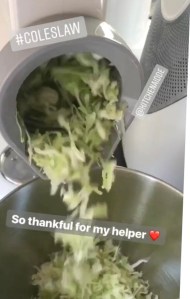 Cole Slaw Kraut raspeln KitchenAid